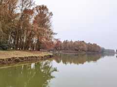 -上海海湾国家森林公园