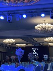 -曼格纳婚礼艺术中心(张江店)