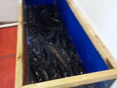 -活鱼馆(宜兴埠店)