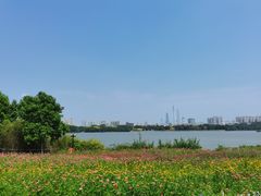-海珠湖公园