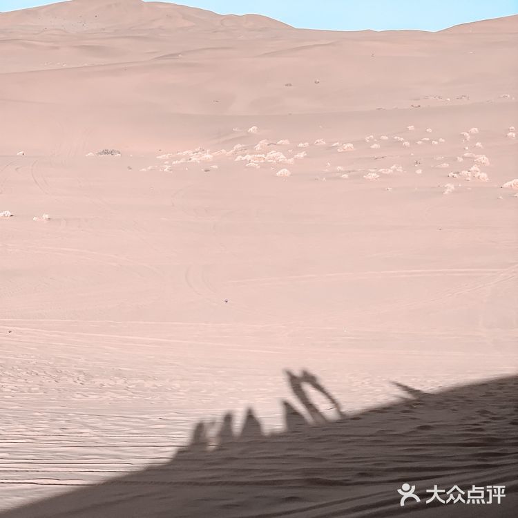 西北旅行｜鸣沙山⛰️月牙泉🌙沙漠绿洲