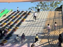 -长洲岛都市农业公园