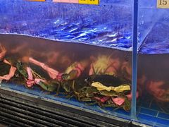 -辣螃铠盆盆蟹大排档(海昌店)