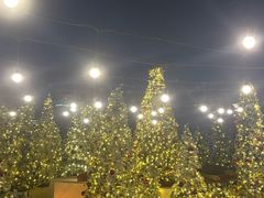 -城市露台景观餐厅(淮海路店)