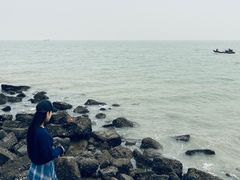 -野狸岛