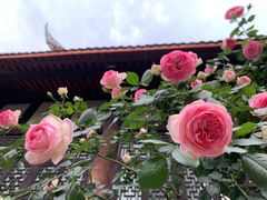 -古大圣慈寺