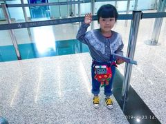 -升恒昌免税商店(桃园国际机场店)