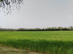 -汉长安城未央宫国家考古遗址公园