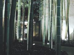 -穹六人间 people 6(岳阳路店)