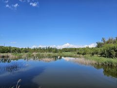 -野鸭湖国家湿地公园