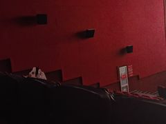 -华谊兄弟影院(IMAX洋桥店)