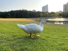 -黄兴公园
