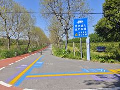 -上海长兴岛郊野公园