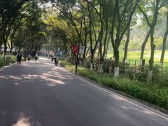 -广州逸林假日酒店·四季桃源中餐厅(白云山风景区店)