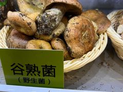 -菌海森林·非遗野生菌火锅(西山区滇池路摩根道店)