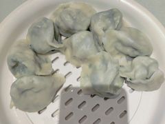 -百饺园(平山道店)