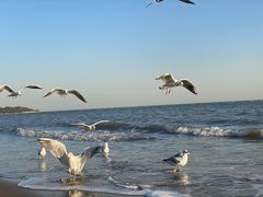 -北戴河东海水浴场