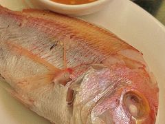 刹设鱼饭-吴记富苑(朝阳店)