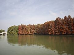 -上海海湾国家森林公园