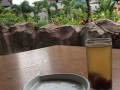 -亚马逊丛林水乐园