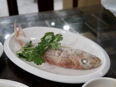 -长平肥姐白粥·海鲜打冷