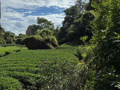 -武夷山风景名胜区-虎啸岩