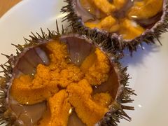 活海胆-海胆小馆(春柳店)