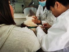 -畜牧兽医站(共江路店)