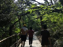 -皇藏峪国家森林公园