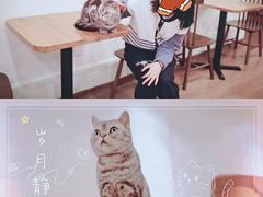 -有猫主题·治愈系猫咖(曾厝垵店)