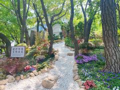 -青岛海滨风景区小鱼山