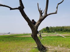 -横山水库