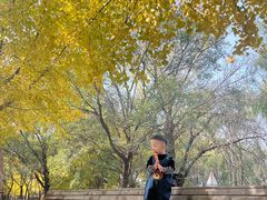 -长白岛森林公园