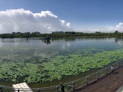 -大兴滨河森林公园