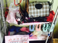 -乐派堂宠物医院·猫友好· 心脏科(东街店)