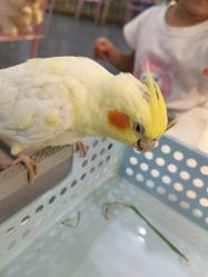 -Moni星球萌宠·小马宝莉·灵蛇·高端高阶全萌宠互动体验俱乐部(红豆国际广场店)