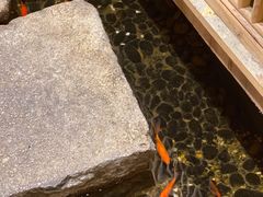 -邈墨茶馆(凤起路店)