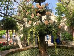 -The Grounds of Alexandria