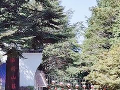 -四明山国家森林公园