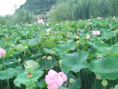 -贵阳蓬莱仙界