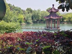 -冶父山国家森林公园