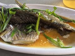 清蒸石斑-瑶记海鲜餐厅(西涌店)