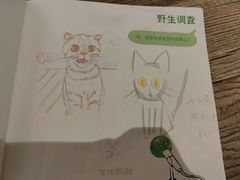-宝珠奶酪(长宁金虹桥店)