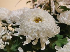 -汇龙潭