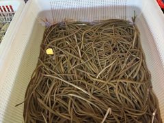 -顺德了能馆(虎门店)