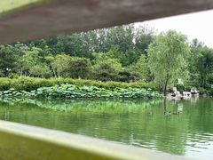 -燕郊植物园