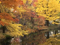 -北海道厅旧本厅舍(旧本庁舎)