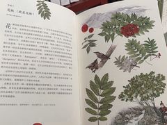 -二酉书店TOYOU BOOKS