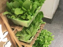 -广顺鑫猪肚鸡(经八路店)