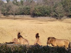 -杭州野生动物世界